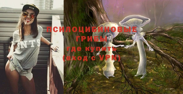 ECSTASY Абдулино