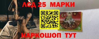 хмурый Камышлов